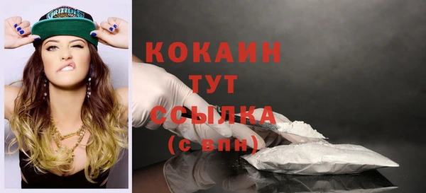 mdpv Богданович