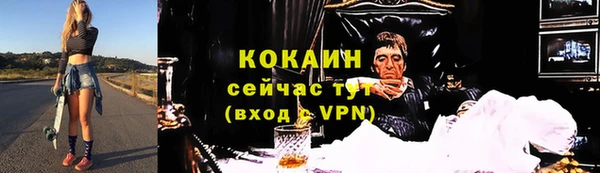 mdpv Богданович