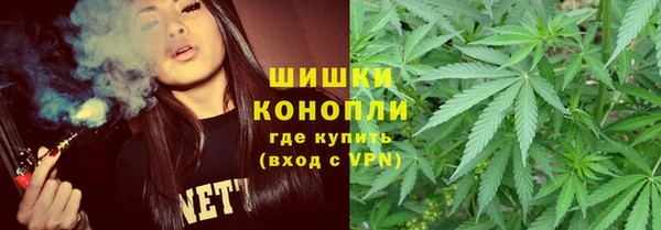 mdpv Богданович