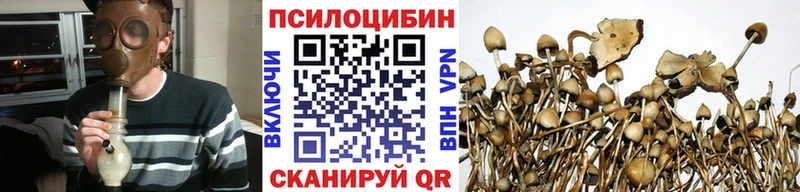 Галлюциногенные грибы Cubensis  Усть-Илимск 